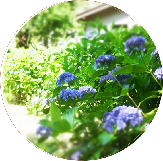 花園会についてのイメージ