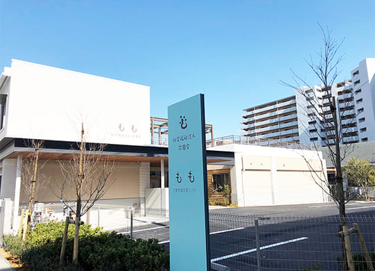 もも外観